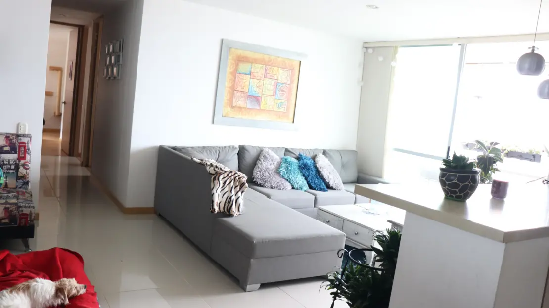video image