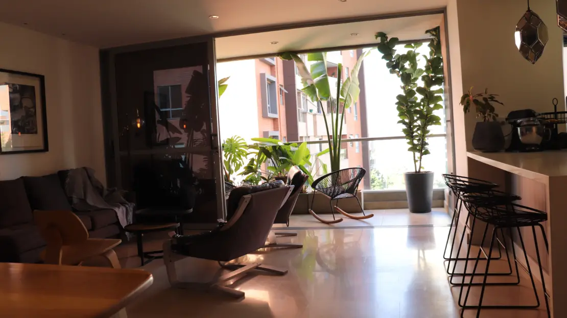 video image